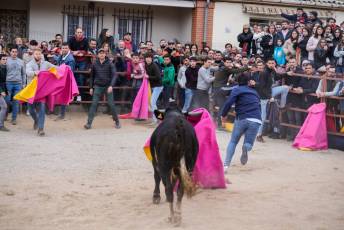 Fotogaleria V Carnaval Taurino en Garcillán 61 V CARNAVAL TAURINO GARCILLÁN