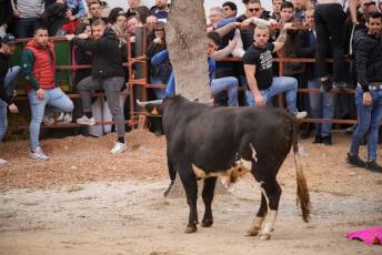 Fotogaleria V Carnaval Taurino en Garcillán 63 V CARNAVAL TAURINO GARCILLÁN