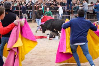 Fotogaleria V Carnaval Taurino en Garcillán 64 V CARNAVAL TAURINO GARCILLÁN