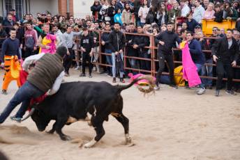 Fotogaleria V Carnaval Taurino en Garcillán 66 V CARNAVAL TAURINO GARCILLÁN