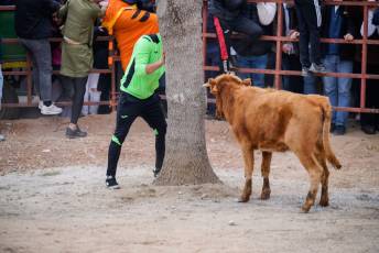 Fotogaleria V Carnaval Taurino en Garcillán 68 V CARNAVAL TAURINO GARCILLÁN