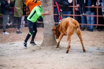 Fotogaleria V Carnaval Taurino en Garcillán 42 V CARNAVAL TAURINO GARCILLÁN