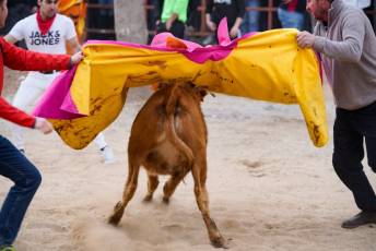 Fotogaleria V Carnaval Taurino en Garcillán 69 V CARNAVAL TAURINO GARCILLÁN