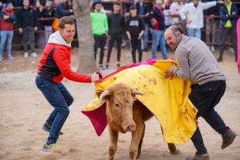 Fotogaleria V Carnaval Taurino en Garcillán 70 V CARNAVAL TAURINO GARCILLÁN