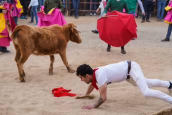 Fotogaleria V Carnaval Taurino en Garcillán 75 V CARNAVAL TAURINO GARCILLÁN