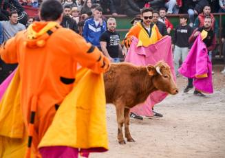 Fotogaleria V Carnaval Taurino en Garcillán 43 V CARNAVAL TAURINO GARCILLÁN
