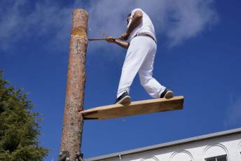 Fotogalería Corte y Colocación Pino Gabarrero en El Espinar 16 Fotografía: Miguel Angel Fernández