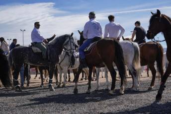 Fotogalería Fiesta del Caballo en La Lastrilla 72 Fotografía: Miguel Angel Fernández
