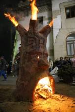 Fotogalería Fiesta de los Gabarreros en El Espinar 25 Fotografía: Miguel Angel Fernández