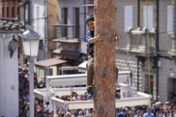 Fotogalería Fiesta de los Gabarreros en El Espinar 89 Fotografía: Miguel Angel Fernández