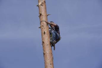 Fotogalería Fiesta de los Gabarreros en El Espinar 97 Fotografía: Miguel Angel Fernández