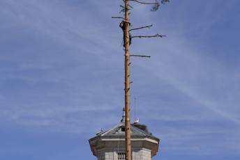 Fotogalería Fiesta de los Gabarreros en El Espinar 99 Fotografía: Miguel Angel Fernández