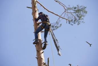 Fotogalería Fiesta de los Gabarreros en El Espinar 103 Fotografía: Miguel Angel Fernández