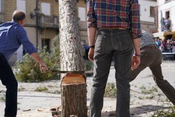 Fotogalería Fiesta de los Gabarreros en El Espinar 106 Fotografía: Miguel Angel Fernández