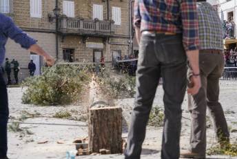 Fotogalería Fiesta de los Gabarreros en El Espinar 107 Fotografía: Miguel Angel Fernández