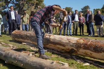 Fotogalería Fiesta de los Gabarreros en El Espinar 16 Fotografía: Miguel Angel Fernández