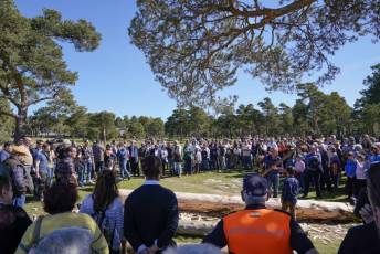 Fotogalería Fiesta de los Gabarreros en El Espinar 33 Fotografía: Miguel Angel Fernández