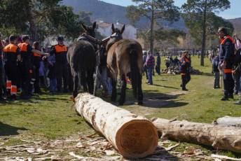 Fotogalería Fiesta de los Gabarreros en El Espinar 14 Fotografía: Miguel Angel Fernández