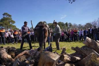 Fotogalería Fiesta de los Gabarreros en El Espinar 43 Fotografía: Miguel Angel Fernández