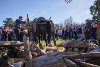 Fotogalería Fiesta de los Gabarreros en El Espinar 37 Fotografía: Miguel Angel Fernández