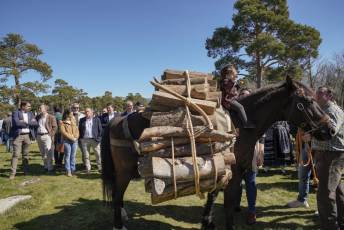 Fotogalería Fiesta de los Gabarreros en El Espinar 28 Fotografía: Miguel Angel Fernández