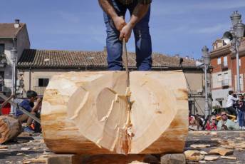 Fotogalería Fiesta de los Gabarreros en El Espinar 87 Fotografía: Miguel Angel Fernández