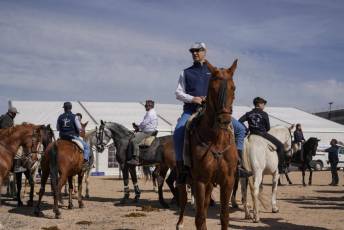 Fotogalería Fiesta del Caballo en La Lastrilla 44 Fotografía: Miguel Angel Fernández