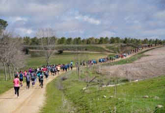 Fotogaleria XIII Viña del Ajo 36 Fotografía: Miguel Angel Fernández