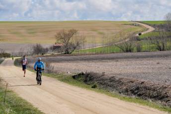 Fotogaleria XIII Viña del Ajo 30 Fotografía: Miguel Angel Fernández
