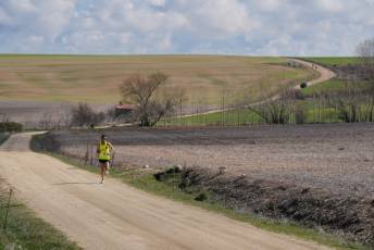 Fotogaleria XIII Viña del Ajo 37 Fotografía: Miguel Angel Fernández