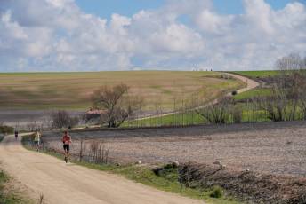 Fotogaleria XIII Viña del Ajo 39 Fotografía: Miguel Angel Fernández