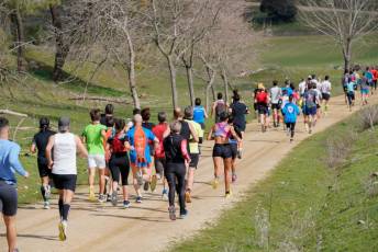 Fotogaleria XIII Viña del Ajo 12 Fotografía: Miguel Angel Fernández