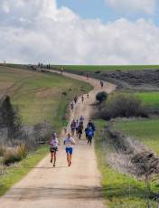 Fotogaleria XIII Viña del Ajo 48 Fotografía: Miguel Angel Fernández