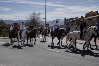 Fotogalería Fiesta del Caballo en La Lastrilla 66 Fotografía: Miguel Angel Fernández