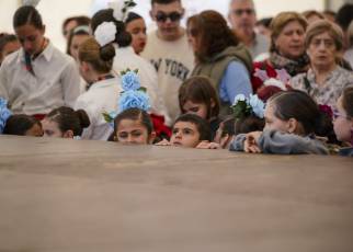 Fotogalería Fiesta del Caballo en La Lastrilla 48 Fotografía: Miguel Angel Fernández
