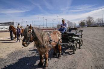 Fotogalería Fiesta del Caballo en La Lastrilla 52 Fotografía: Miguel Angel Fernández