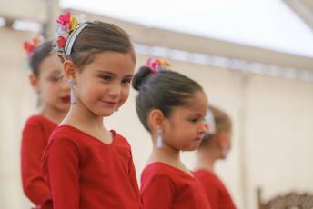 Fotogalería Fiesta del Caballo en La Lastrilla 5 Fotografía: Miguel Angel Fernández