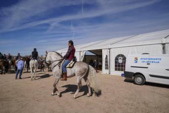 Fotogalería Fiesta del Caballo en La Lastrilla 29 Fotografía: Miguel Angel Fernández