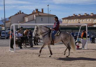 Fotogalería Fiesta del Caballo en La Lastrilla 46 Fotografía: Miguel Angel Fernández