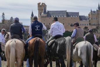 Fotogalería Fiesta del Caballo en La Lastrilla 37 Fotografía: Miguel Angel Fernández