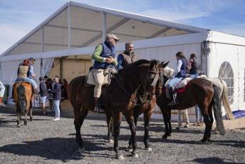 Fotogalería Fiesta del Caballo en La Lastrilla 39 Fotografía: Miguel Angel Fernández