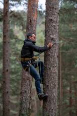 Fotogalería Corte y Colocación Pino Gabarrero en El Espinar 36 Fotografía: Luis Horcajada