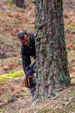 Fotogalería Corte y Colocación Pino Gabarrero en El Espinar 44 Fotografía: Luis Horcajada