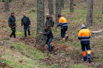 Fotogalería Corte y Colocación Pino Gabarrero en El Espinar 34 Fotografía: Luis Horcajada