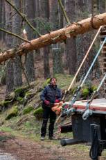 Fotogalería Corte y Colocación Pino Gabarrero en El Espinar 37 Fotografía: Luis Horcajada