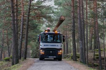Fotogalería Corte y Colocación Pino Gabarrero en El Espinar 38 Fotografía: Luis Horcajada