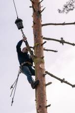 Fotogalería Corte y Colocación Pino Gabarrero en El Espinar 41 Fotografía: Luis Horcajada
