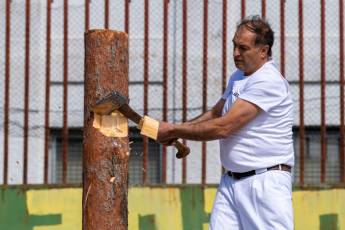 Fotogalería Corte y Colocación Pino Gabarrero en El Espinar 43 Fotografía: Luis Horcajada