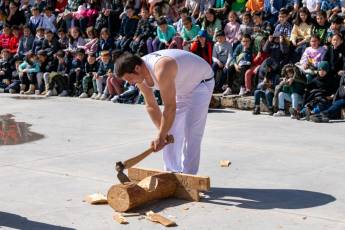 Fotogalería Corte y Colocación Pino Gabarrero en El Espinar 45 Fotografía: Luis Horcajada