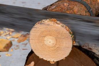 Fotogalería Corte y Colocación Pino Gabarrero en El Espinar 47 Fotografía: Luis Horcajada